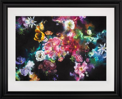 Image 1 of 