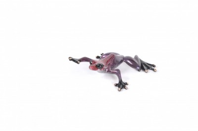Image 2 of 