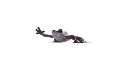 Image 1 of 