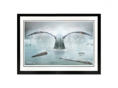 Image 1 of 