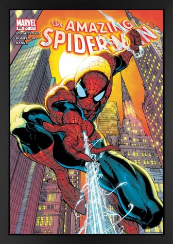 Signed Stan Lee The Amazing Spider-Man #491 - Canvas Edition image