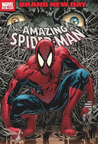 The Amazing Spider-Man #553 - Brand New Day, Signed by Stan Lee  image