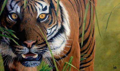 Tiger Tiger | Jonathan Truss image